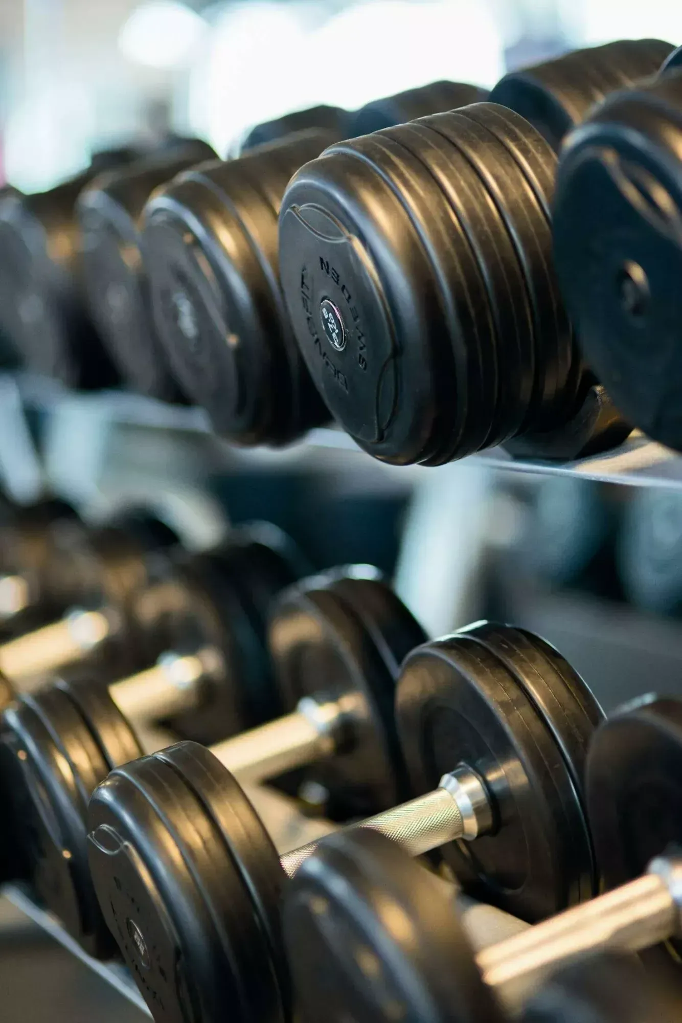 GBSC WEIGHTS
